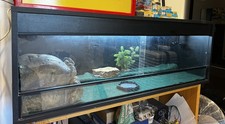 Vivarium 4ft x 2ft Set Up w/