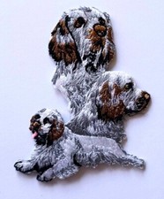 A Clumber Spaniel Dog Heat