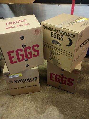 Egg cardboard - 30+,