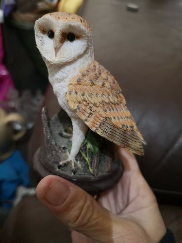 Country bird collection andy - bird,