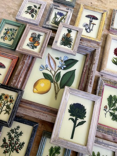 Botanical reverse glass - botanical,