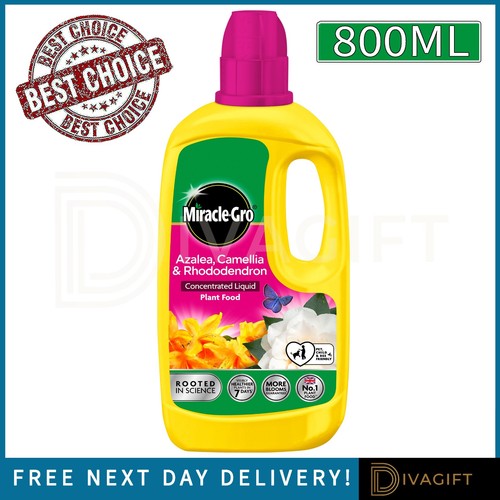 Miracle gro azalea camellia - miracle,