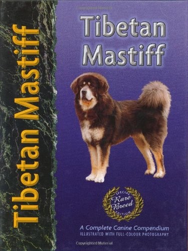 Tibetan mastiff - tibetan,