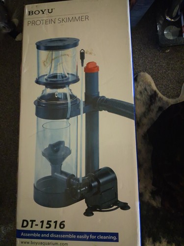 Aquarium protein skimmer - aquarium,