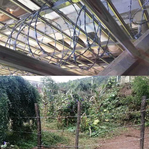 Galvanised barbed wire - galvanised,