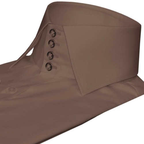 Edwardian high spread collar - edwardian,