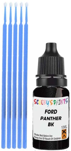 Touch paint for ford - paint,