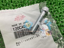 GPZ900R Front Fork Bolts - In