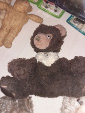 Vintage Steiff Cosy Bruni Teddy Bear