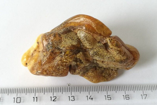 Natural baltic amber stone - natural,