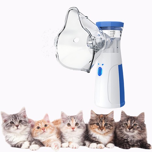 Portable facial sprayer - portable,