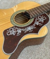 1x Acoustic guitar deluxe 2mm