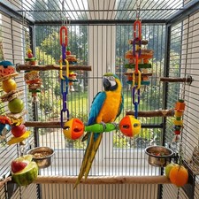 1PC Bird Hanging Swing Pet