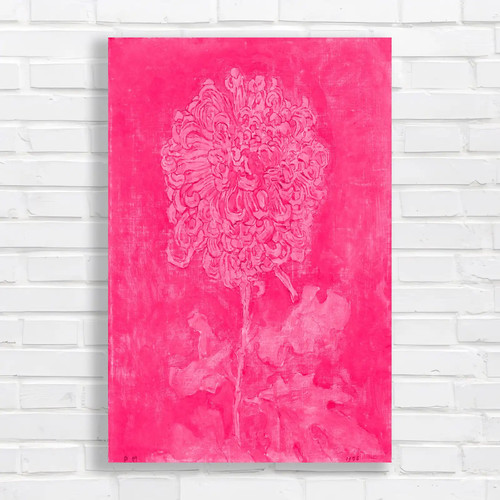 Floral chrysanthemum pink - floral,