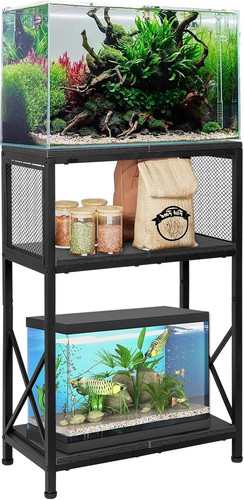 Gallon fish tank - fish,