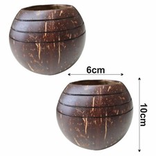 (Set of 2) 10cm Round Plant