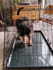 PawHut Collapsible Dog Cage