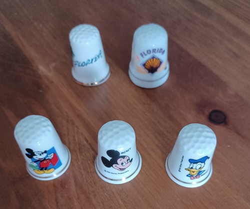 Florida disney porcelain - florida, &
