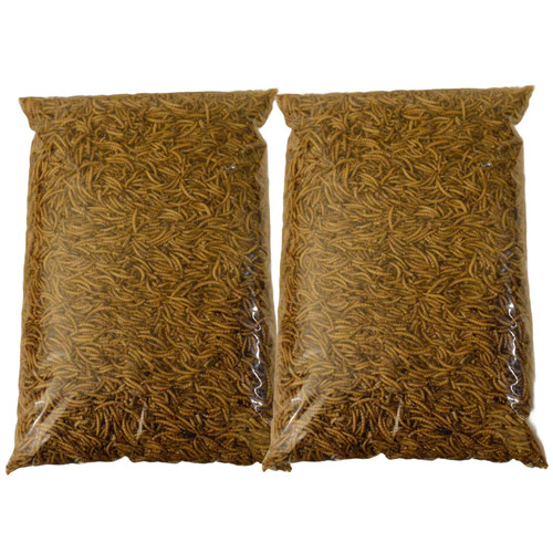 Dried mealworms premium wild - dried,