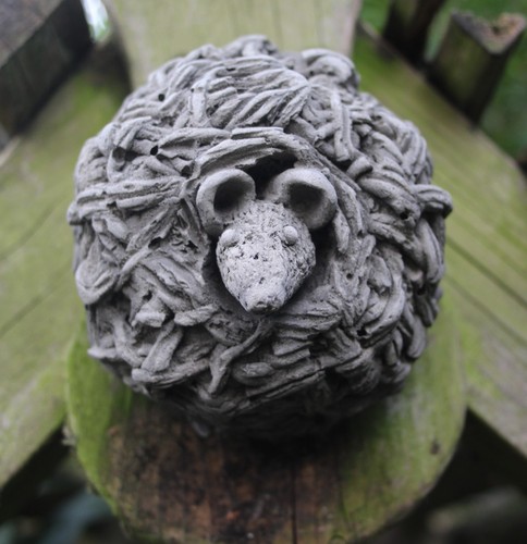 Mouse field dormouse - field, wall
