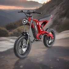 Hidoes B6 20" Fat Tyre Bike