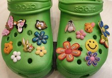 10 Shoe charms flowers etc for