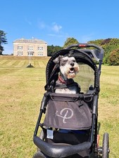 Petique Chinook Black Luxury Stroller for Small and Medium Dogs