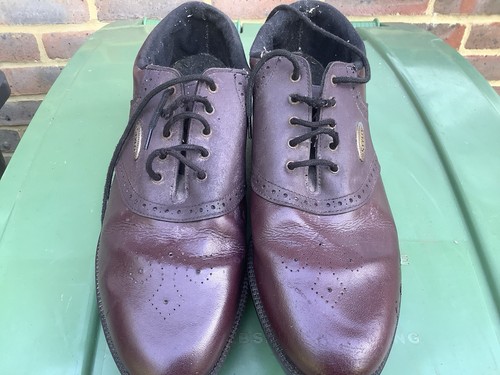 Style golf shoes maroon - golf,