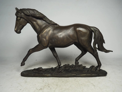 Horse galloping cold - cold, cast