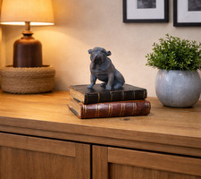 Bulldog Ornament On Books Dog