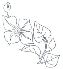 Embroidery Transfer Iron On