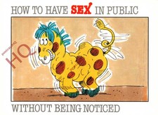 Postcard> How To Have Sex In Public Without Being Noticed, Panto Horse (Humour)