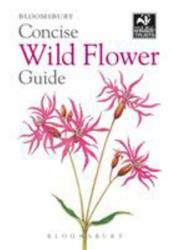 Concise wild flower guide - guide, by