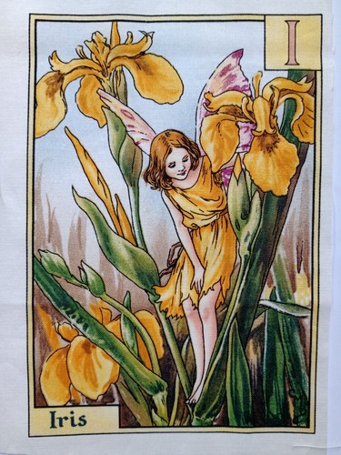 Iris alphabet letters - -,