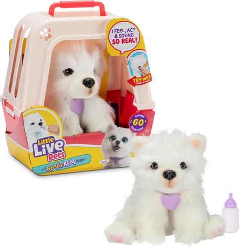 Little live pets really - little, my