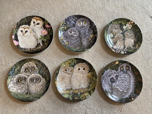 The baby owls - owls", of
