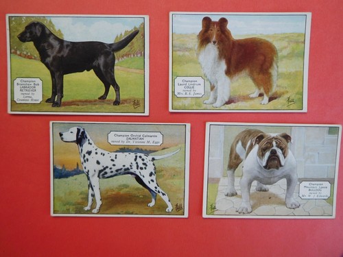 Ardath cards champion - cards, dogs