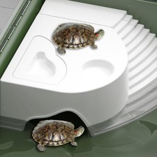 Tortoise Basking Platform Hide Cave for Small Reptiles Tortoises Salamanders