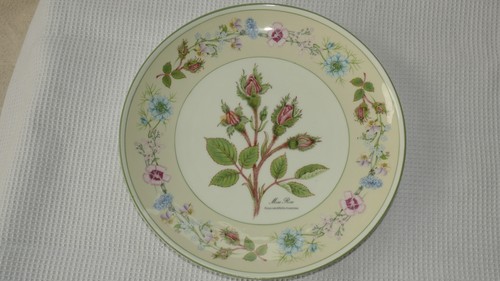 Aynsley wild tudor pattern - aynsley's,