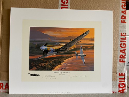 Nicholas trudgian aviation art - nicholas,