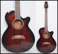 TAKAMINE DSP-110 Red Sunburst