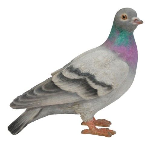 Pigeon bird lifelike garden - bird,