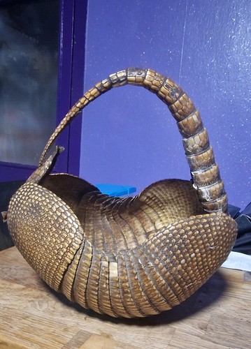 Genuine armadillo shell - genuine,