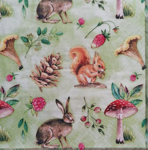 Single paper napkins for - single,