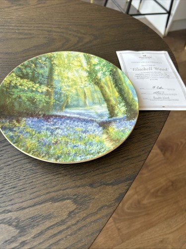 Stunning wedgewood bluebell - stunning,