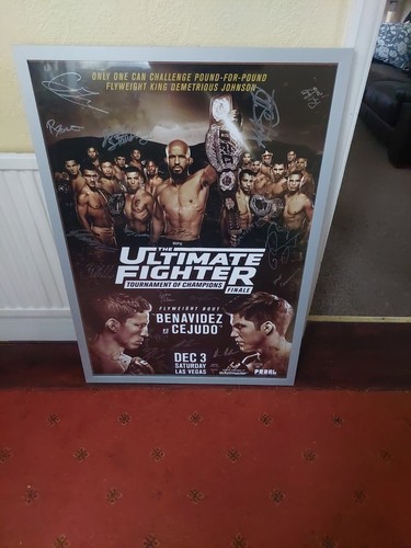 Ufc the ultimate fighter - the,