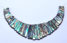 g1585 41pcs Abalone shell