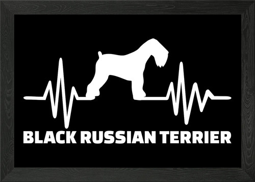 Black russian terrier framed - russian,