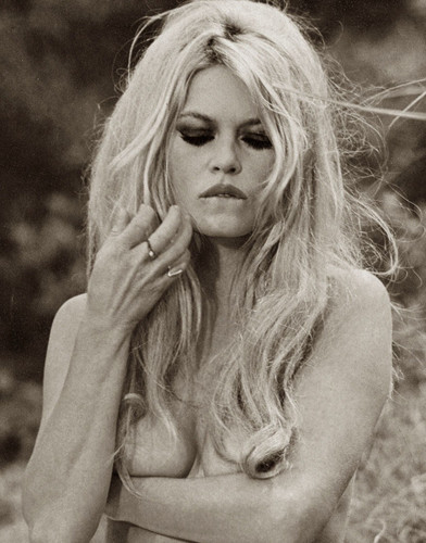 Brigitte bardot 8x10 - bardot, photo
