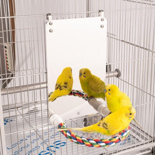 Bird toy cage swing acrylic - toy,